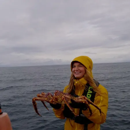 The Arctic Overnight Experience